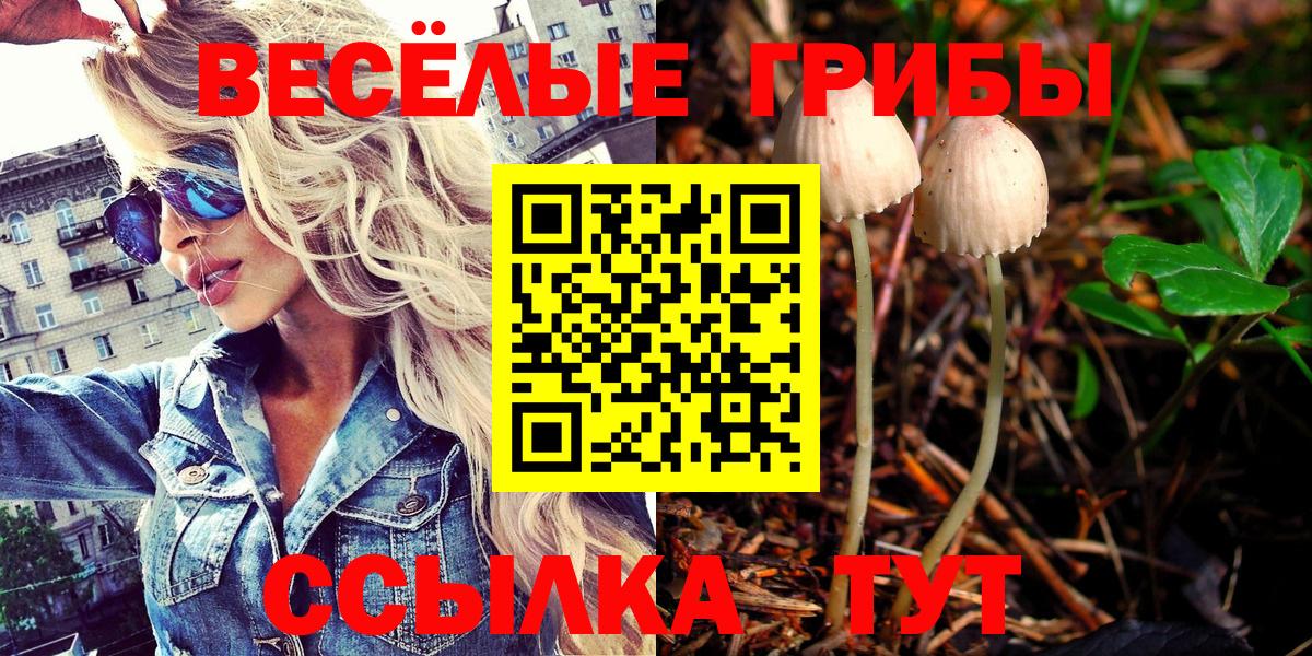 Галлюциногенные грибы Cubensis  Вход с VPN  Воскресенск 